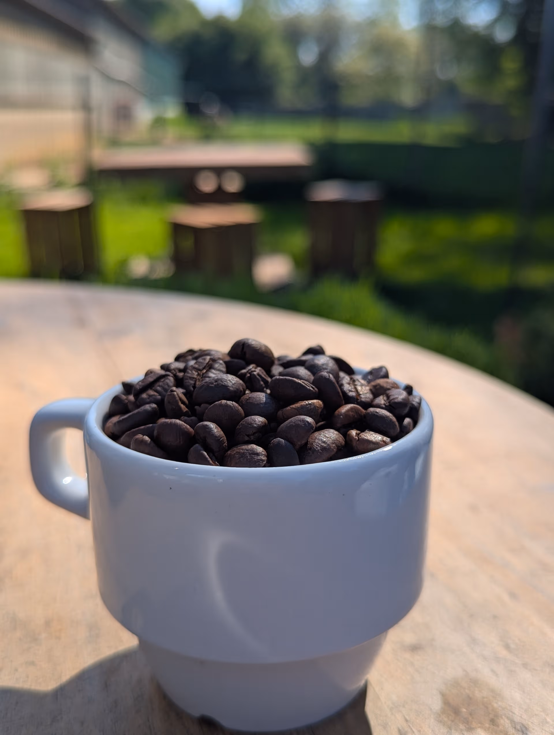 Tasse de café remplis de grains différents.