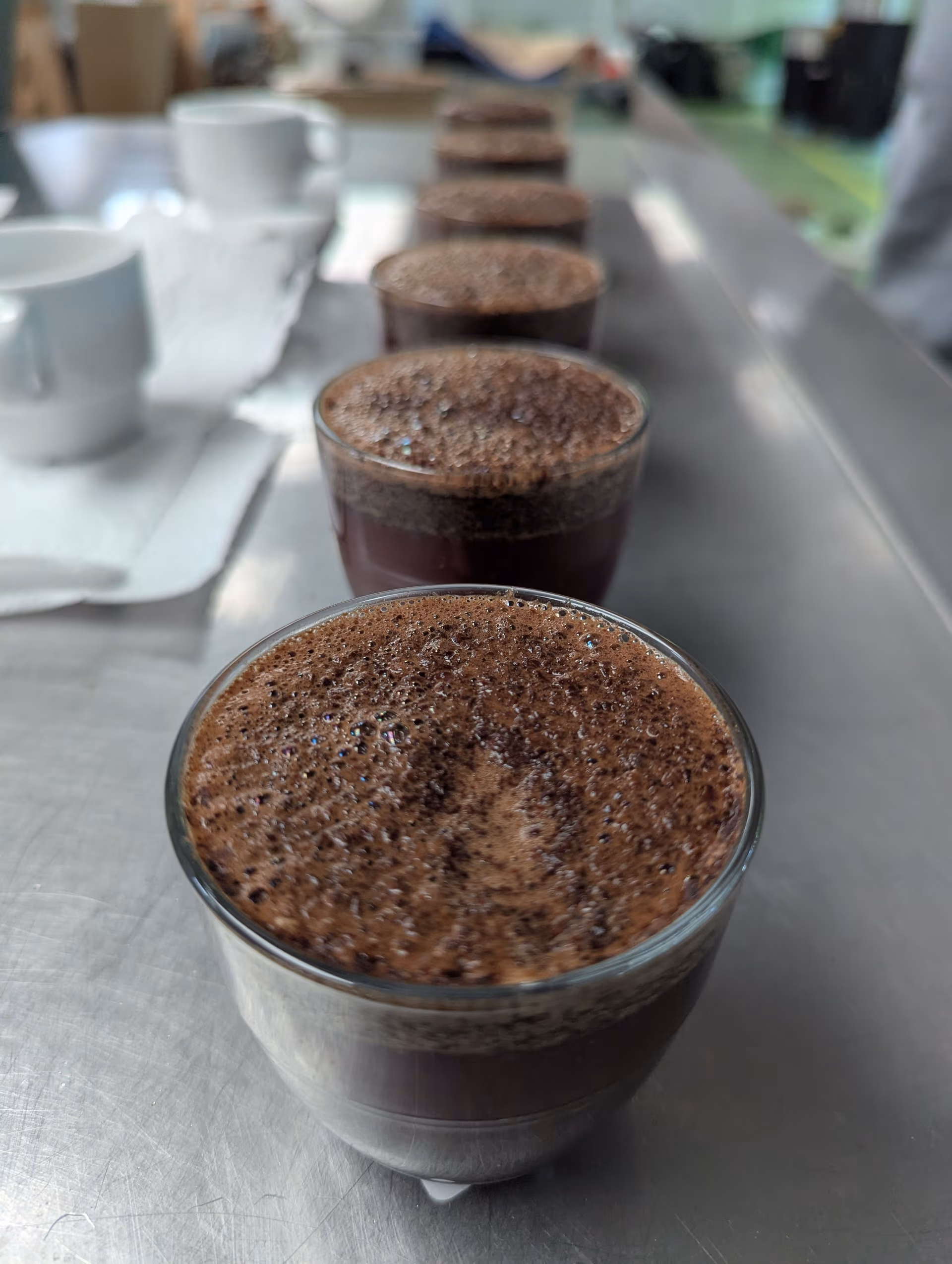 Dégustation à l’aveugle utilisée pour valider les cinq cafés Gemmari