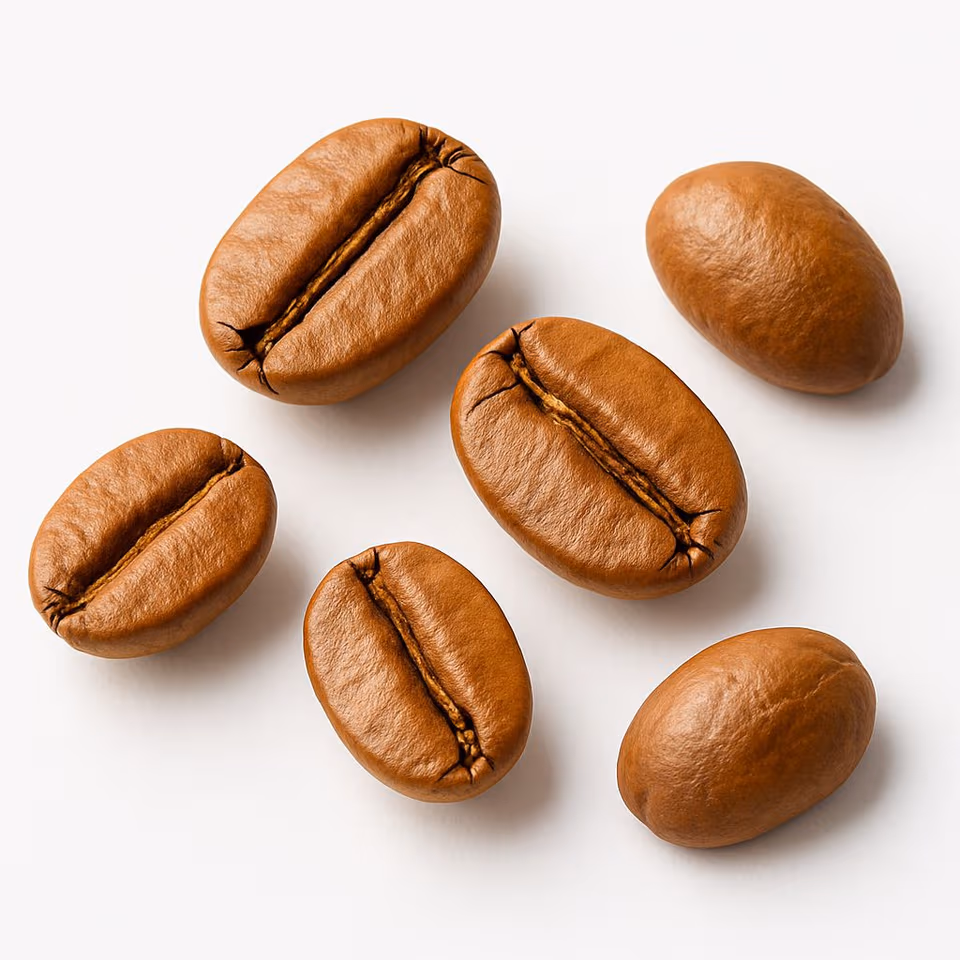 Arabica