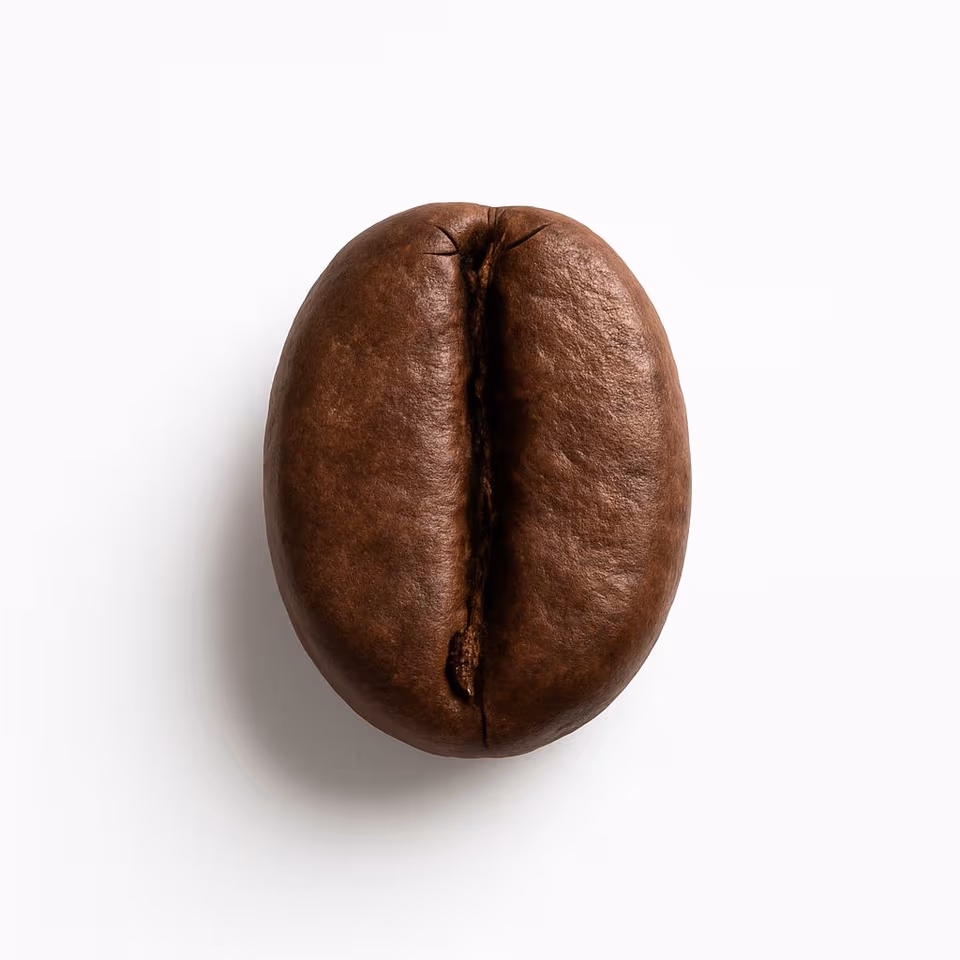 Robusta